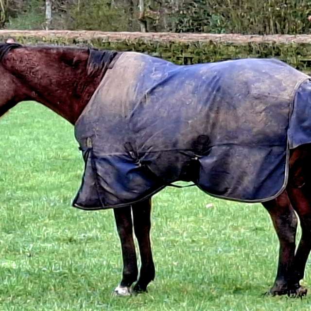 Previsões do tempo com lindas fotos de Lolli