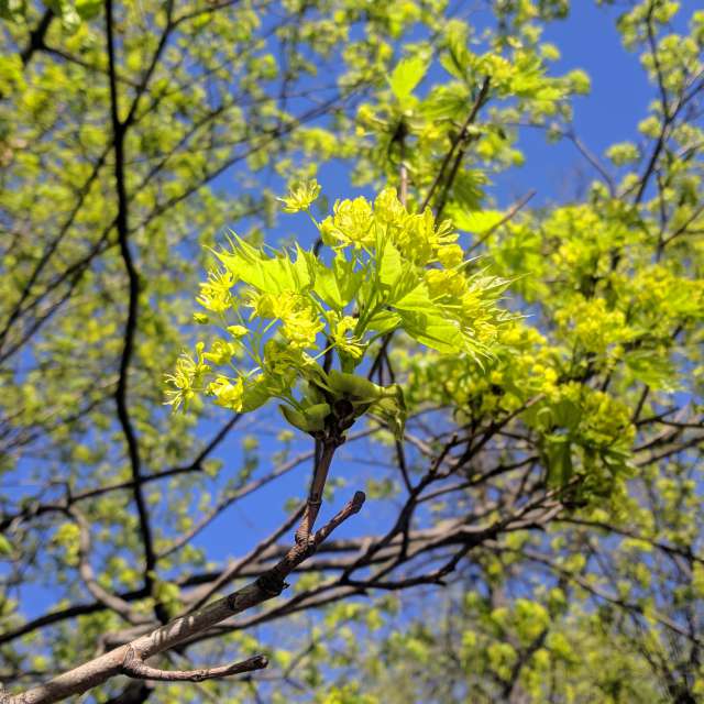 Park. Weather forecasts with beautiful photos by satrap Photos in Moscow