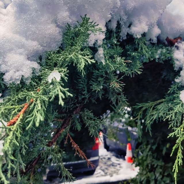 Weather forecasts with beautiful photos by VersusPoint