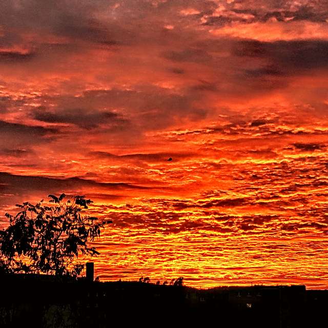 Dự báo thời tiết với những bức ảnh đẹp của Wiesiek