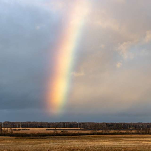 AlmaGenute53の美しい写真による天気予報