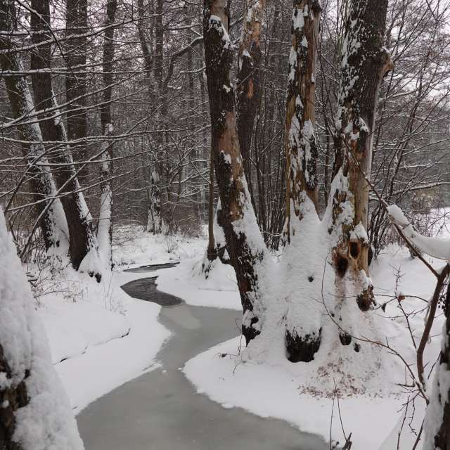Fotos Riacho. Previsões do tempo com lindas fotos de Vasek325 em Praha 4