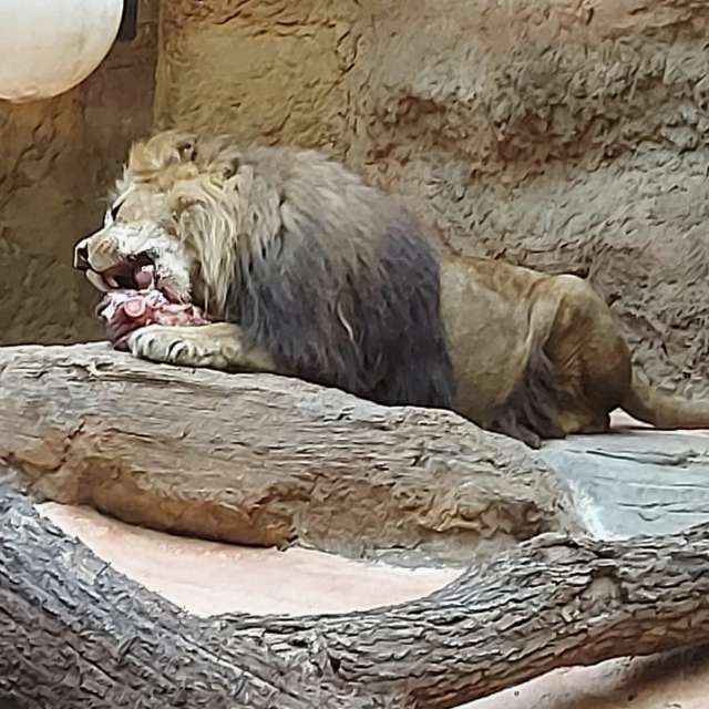 Polar. Weather forecasts with beautiful photos by Klaus_Hirschfeld Photos in World