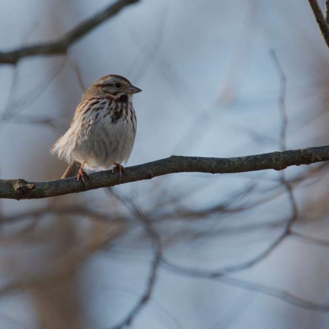 Dự báo thời tiết với những bức ảnh đẹp của krantzjh