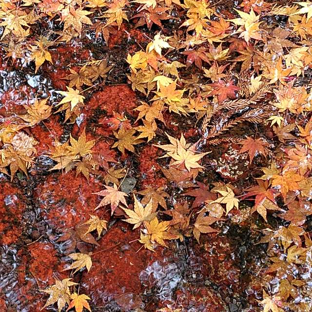 Weather Photos in World. Weather forecasts with beautiful photos by umemui