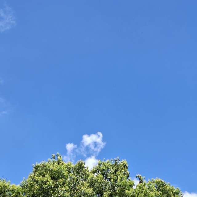 Photos Facile. Prévisions météo avec de superbes photos de Wen-ya Huang de Kaohsiung