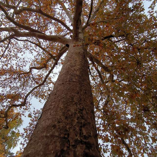 Fotos Grupo. Previsões do tempo com lindas fotos de NikolayPaunchev em 13 Boulevard de l'Hôpital