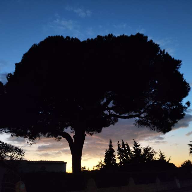 Прогнозы погоды с чудесными фотографиями, сделанными Brtd