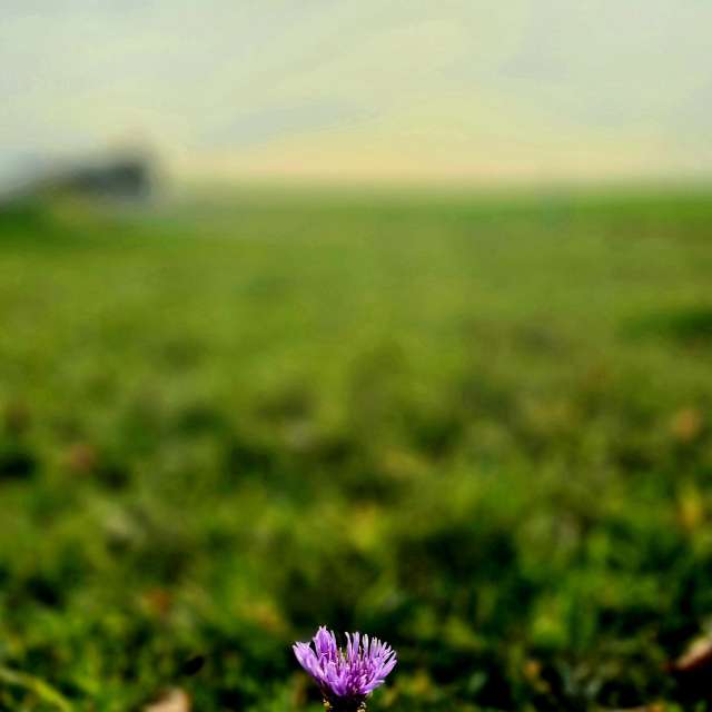 Grassy. Weather forecasts with beautiful photos by Hela Photos in World