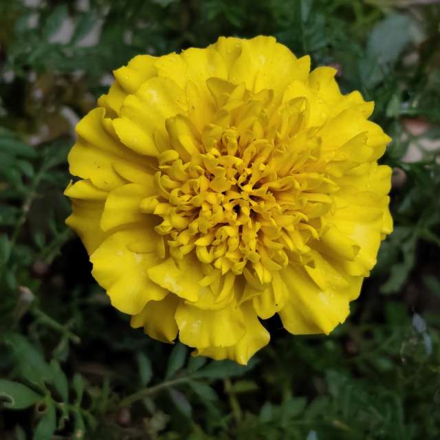 IvanaBの美しい写真による天気予報