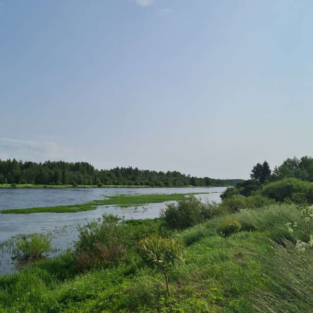 天气预报，带HelenR精美的照片