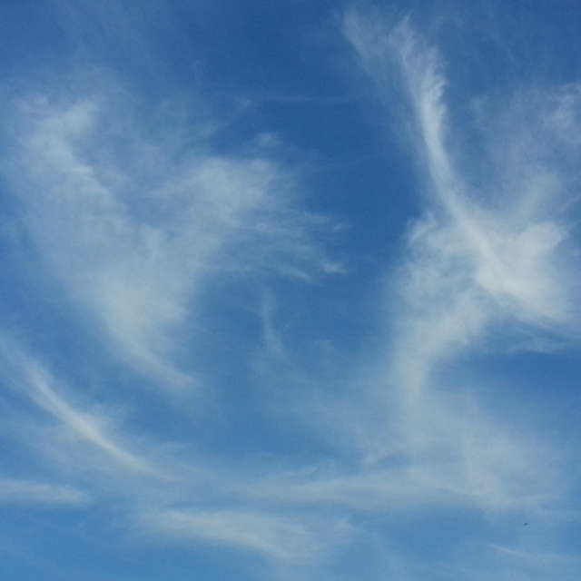 Large. Weather forecasts with beautiful photos by LarNa Photos in Moscow