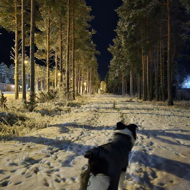 Previsões do tempo com lindas fotos de Piia
