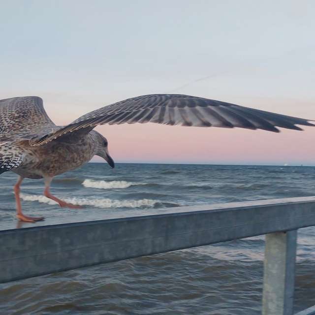 Прогнозы погоды с чудесными фотографиями, сделанными Calendula