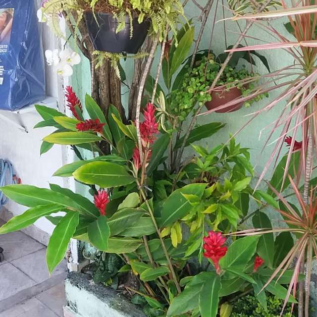 天气预报，带davidonefighter精美的照片