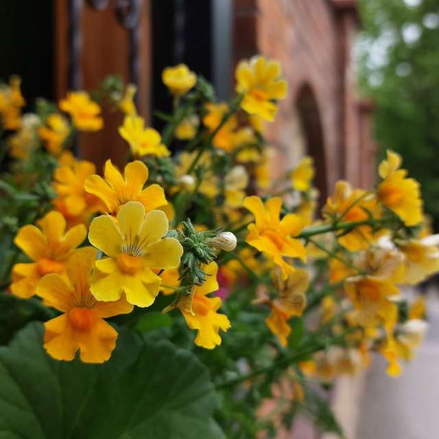 Bunt. Wettervorhersagen mit schönen Fotos von Iryna Fotos Lwiw