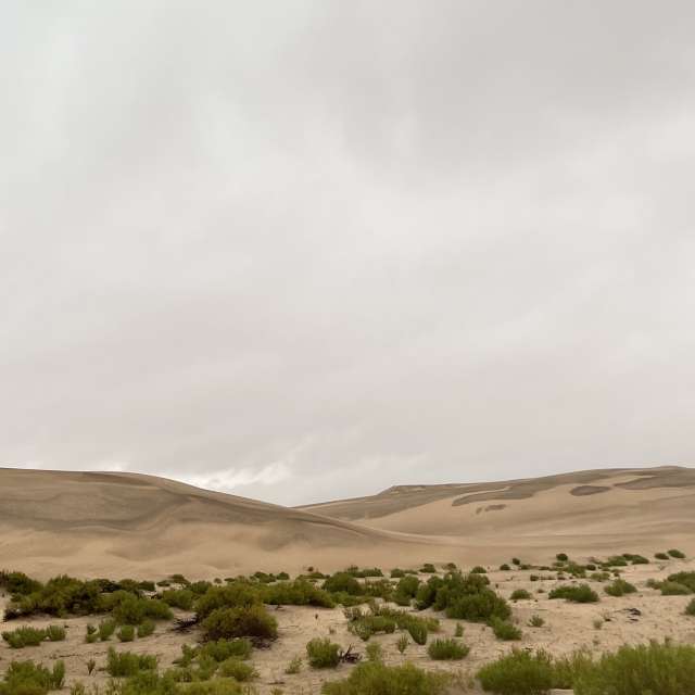 Weather forecasts with beautiful photos by Mohamed11