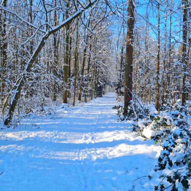 Fotos Trilha. Previsões do tempo com lindas fotos de Seni em Velbert