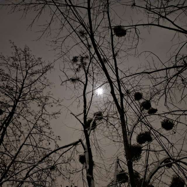 Wettervorhersagen mit schönen Fotos von Iryna