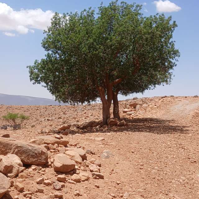 Prévisions météo avec de superbes photos de BELGHOUL-KADDA
