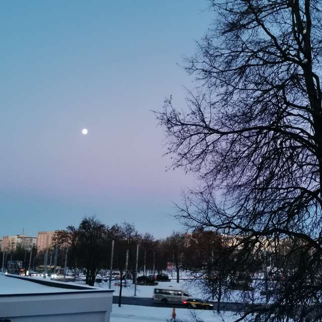 Winter. Weather forecasts with beautiful photos by Irishka Photos in World