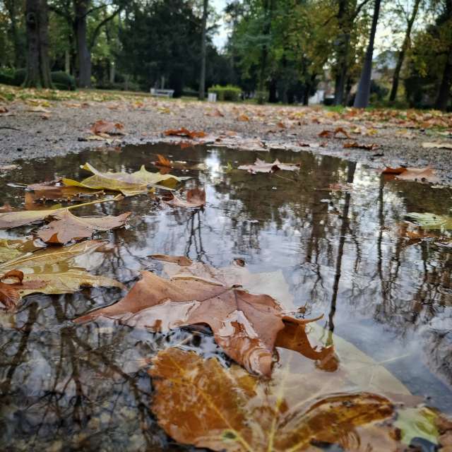 天气预报，带Aleksandar精美的照片
