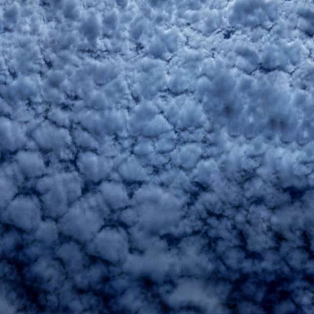 天气预报，带Leonhartit精美的照片