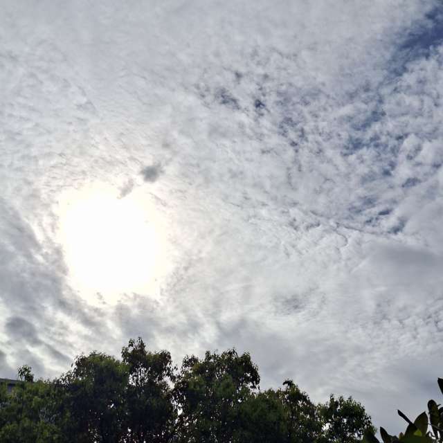 Photos Personnes. Prévisions météo avec de superbes photos de Wen-ya Huang de Kaohsiung