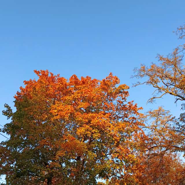 Fotos Clima. Previsões do tempo com lindas fotos de Михаил Бондаренко em Pionerskiy