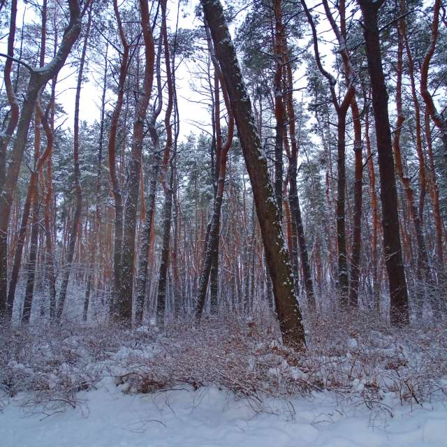 Country. Weather forecasts with beautiful photos by Михаил Гавриков Photos in Kharkiv