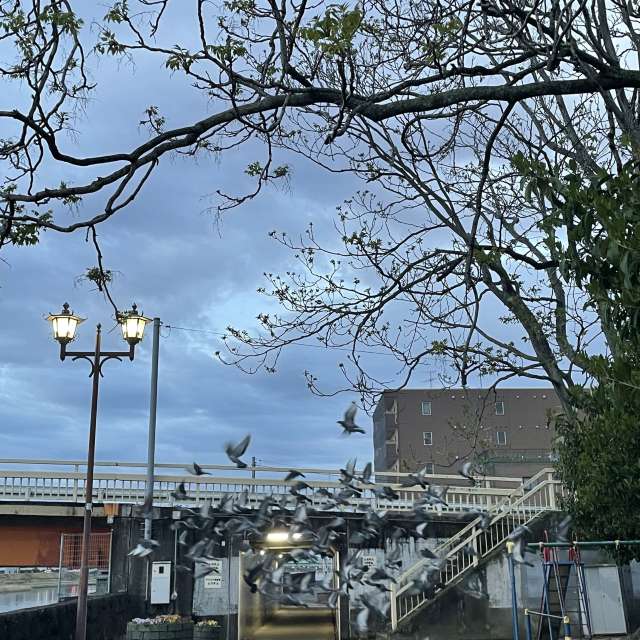 Bereich. Wettervorhersagen mit schönen Fotos von あさのジジ Fotos Okayama