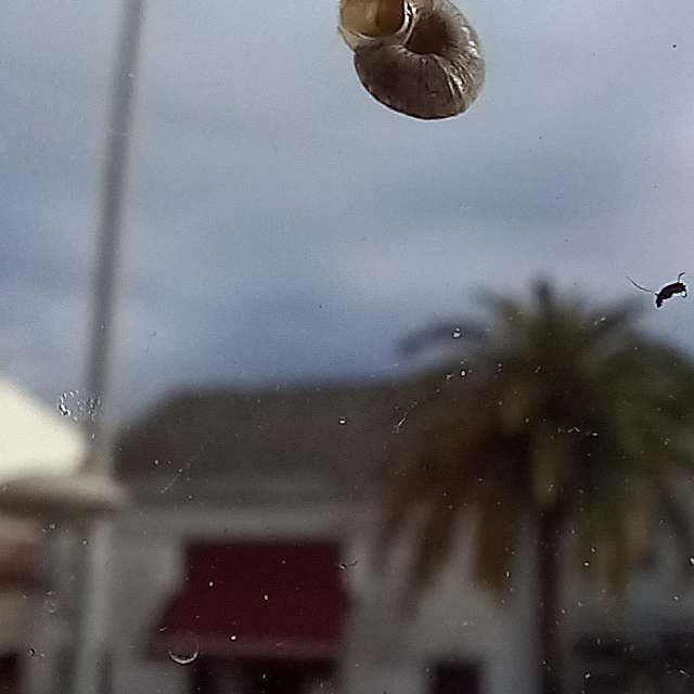 Weather forecasts with beautiful photos by MOR