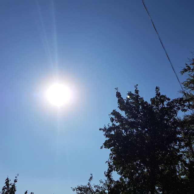 天气预报，带andreyfetisov精美的照片