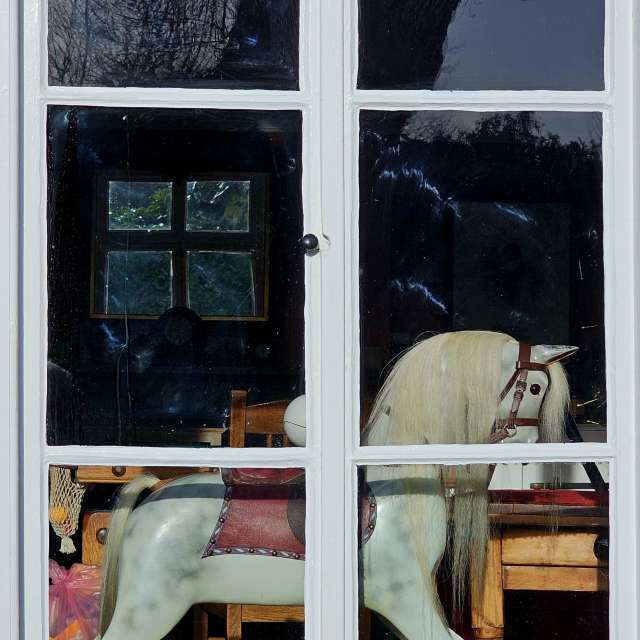 Previsões do tempo com lindas fotos de Greenbroker