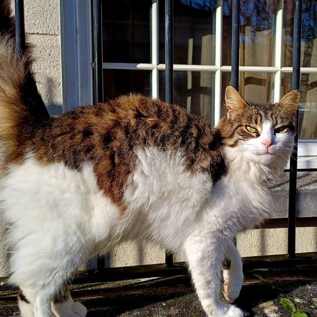 Photos Devant. Prévisions météo avec de superbes photos de Lolli de Maidstone