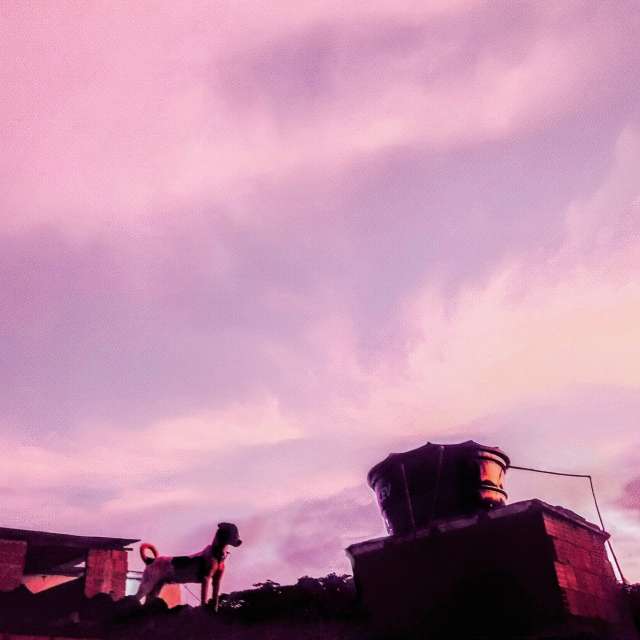 Sunnyyの美しい写真による天気予報