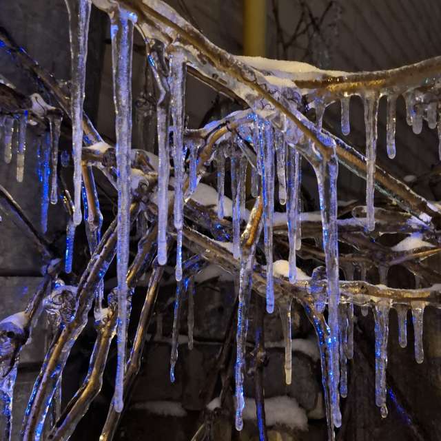 Weather forecasts with beautiful photos by Iryna