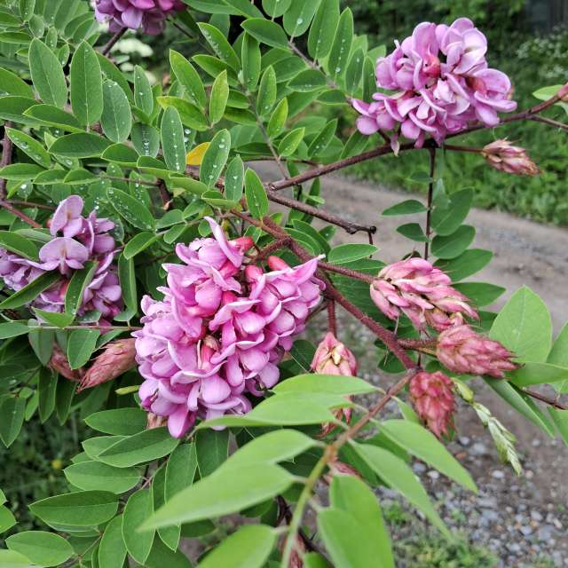 Weather forecasts with beautiful photos by urashm