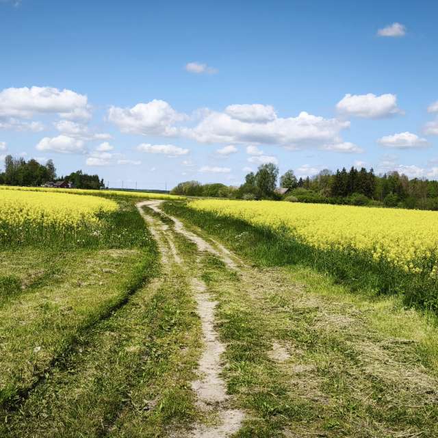 Фотографии Погоды в Мир. Прогнозы погоды с чудесными фотографиями, сделанными Valiukas