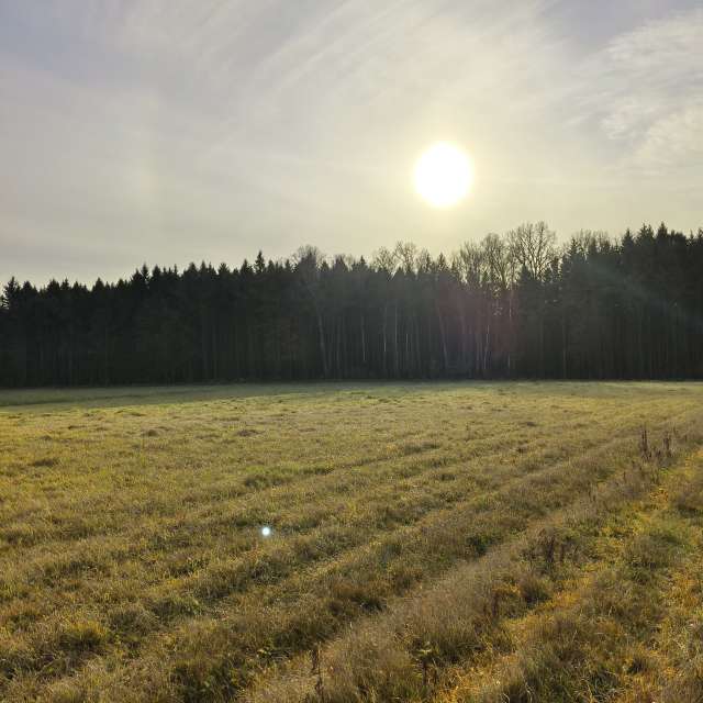 天气预报，带Aleksei精美的照片