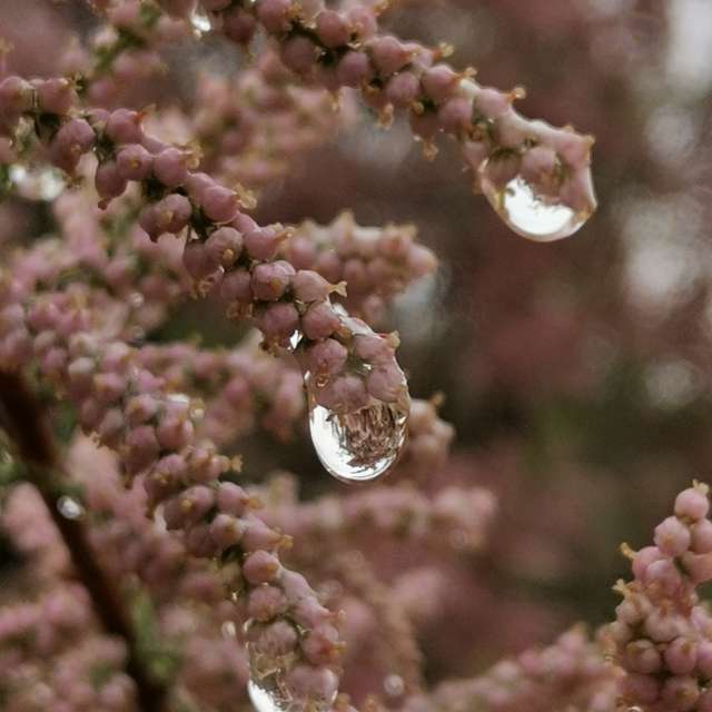 Wettervorhersagen mit schönen Fotos von nox