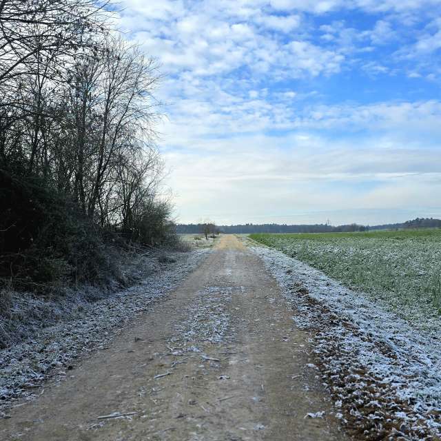 Wettervorhersagen mit schönen Fotos von Hela