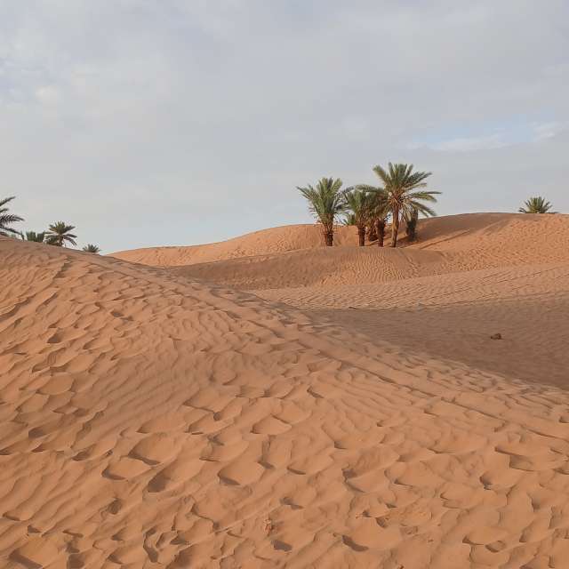 Prévisions météo avec de superbes photos de BELGHOUL-KADDA