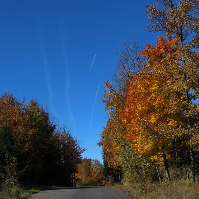 天气预报，带Sviatoslav精美的照片