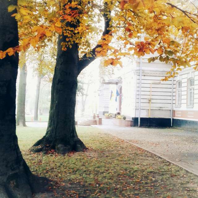 Bench. Weather forecasts with beautiful photos by urashm Photos in Khmelnytskyi