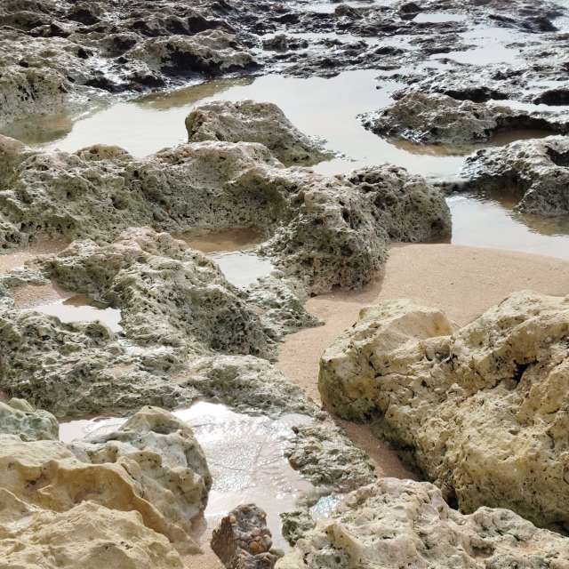 Прогнозы погоды с чудесными фотографиями, сделанными Brtd