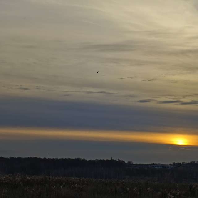 Air. Weather forecasts with beautiful photos by Aleksei Photos in Tula