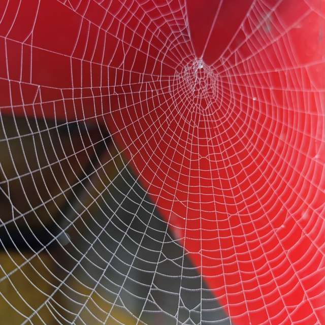 Pronósticos del tiempo con hermosas fotos de Fabri