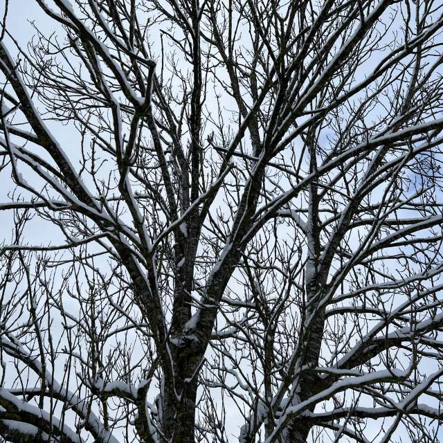 Photos Chemin. Prévisions météo avec de superbes photos de SwissEloi de Sonceboz