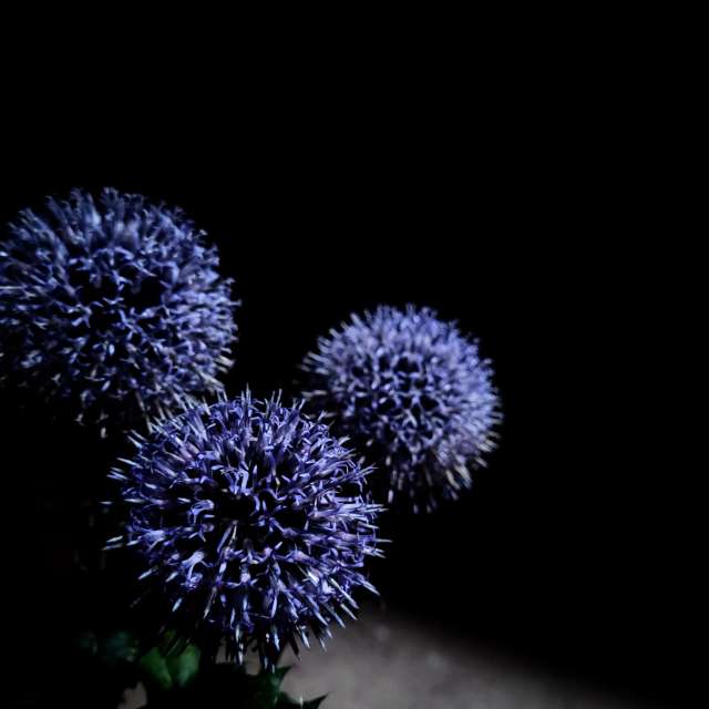 Teddy. Weather forecasts with beautiful photos by hejpetrpepa Photos in Plzeň Region